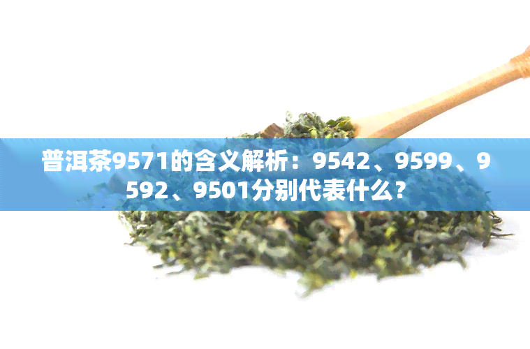 普洱茶9571的含义解析：9542、9599、9592、9501分别代表什么？