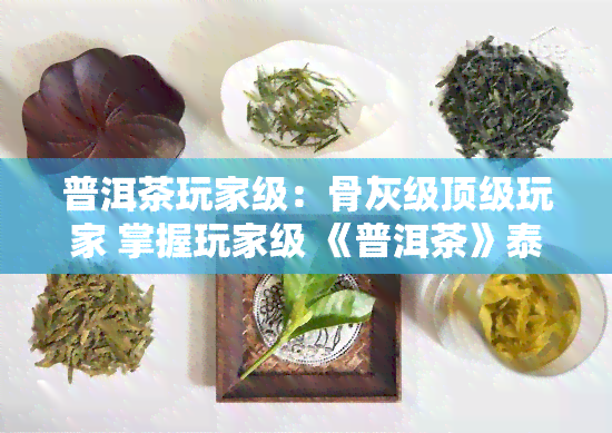 普洱茶玩家级：骨灰级顶级玩家 掌握玩家级 《普洱茶》泰斗级人物 大佬级人物