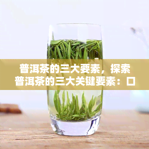 普洱茶的三大要素，探索普洱茶的三大关键要素：口感、香气与历背景