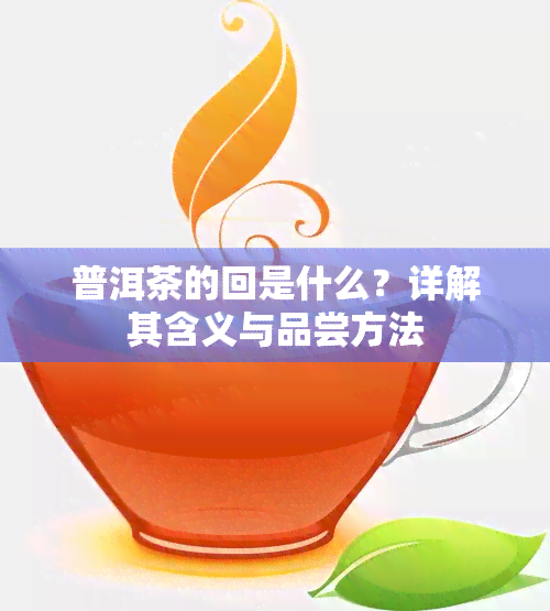 普洱茶的回是什么？详解其含义与品尝方法