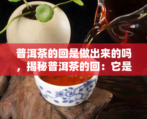 普洱茶的回是做出来的吗，揭秘普洱茶的回：它是如何做出来的？