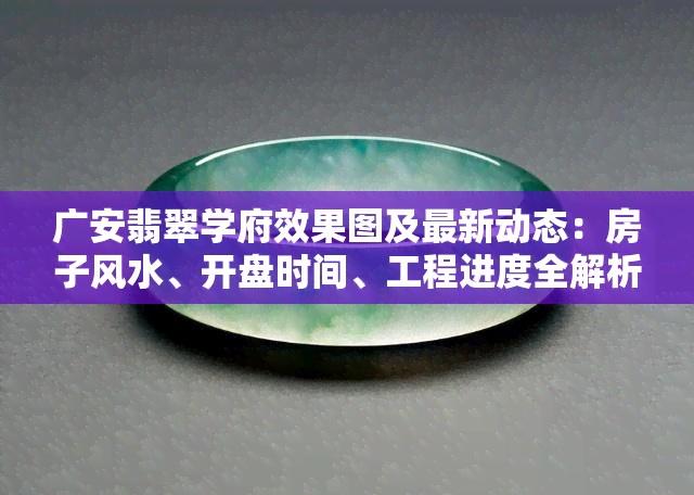 广安翡翠学府效果图及最新动态：房子风水、开盘时间、工程进度全解析