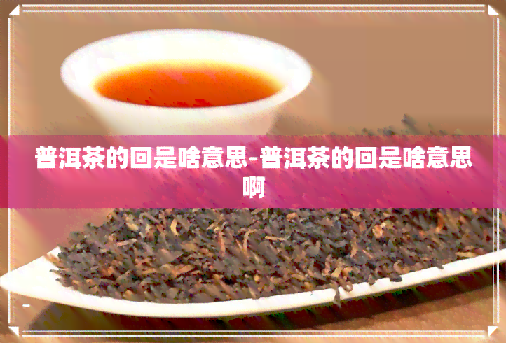 普洱茶的回是啥意思-普洱茶的回是啥意思啊