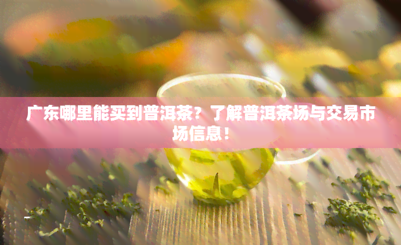 广东哪里能买到普洱茶？了解普洱茶场与交易市场信息！