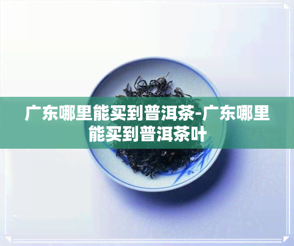 广东哪里能买到普洱茶-广东哪里能买到普洱茶叶