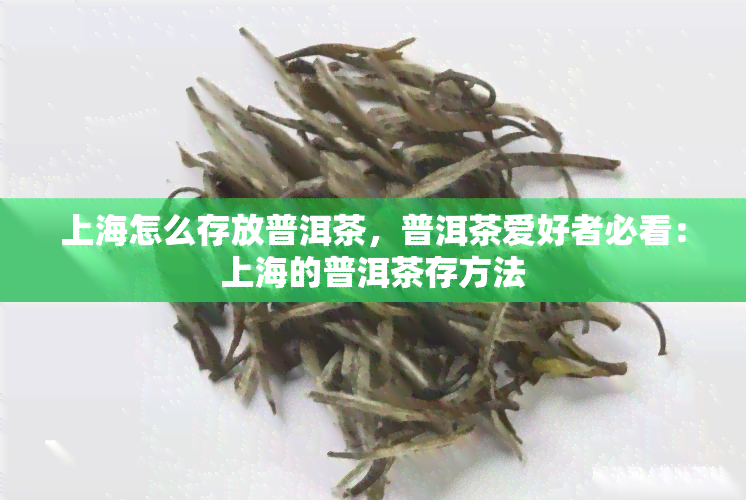 上海怎么存放普洱茶，普洱茶爱好者必看：上海的普洱茶存方法