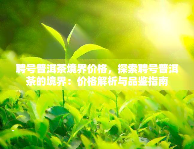 聘号普洱茶境界价格，探索聘号普洱茶的境界：价格解析与品鉴指南