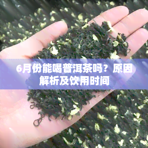 6月份能喝普洱茶吗？原因解析及饮用时间