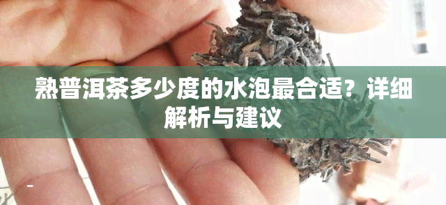 熟普洱茶多少度的水泡最合适？详细解析与建议