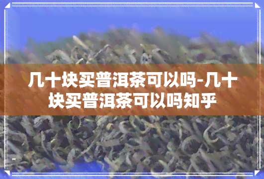 几十块买普洱茶可以吗-几十块买普洱茶可以吗知乎