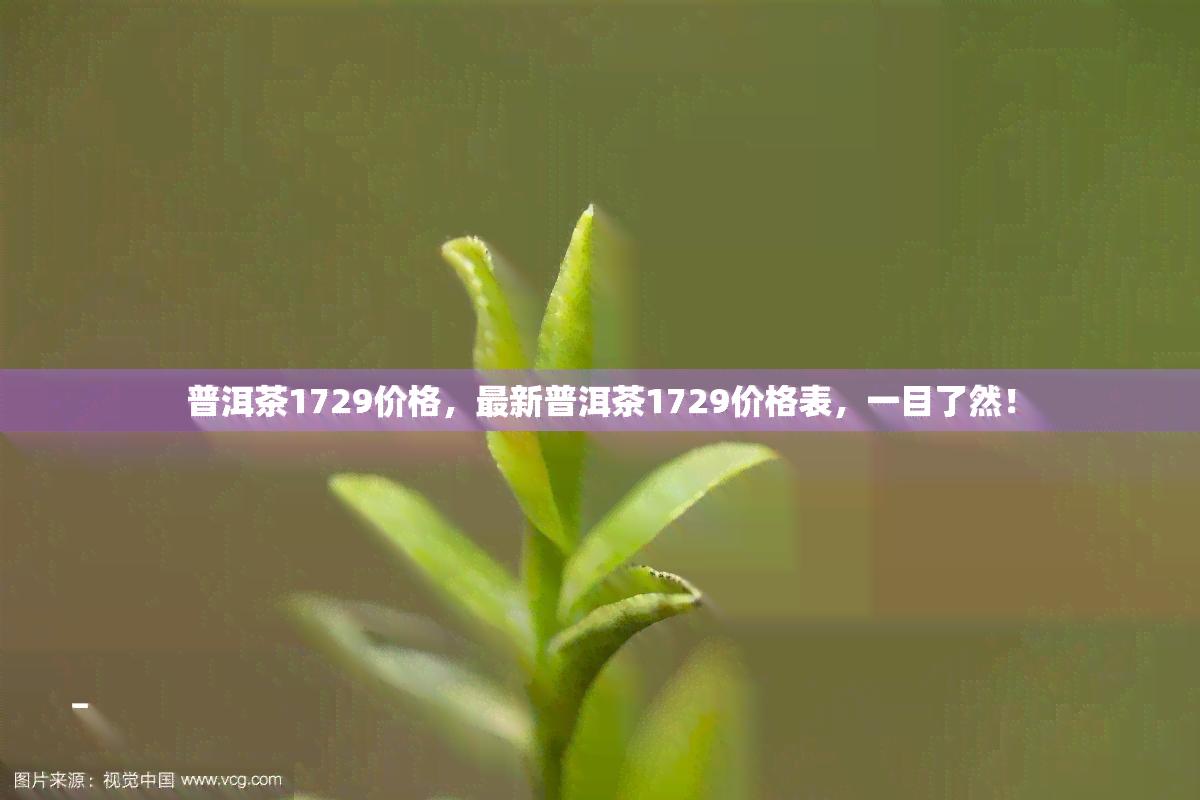 普洱茶1729价格，最新普洱茶1729价格表，一目了然！