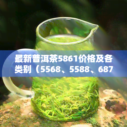 最新普洱茶5861价格及各类别（5568、5588、6871、8582、0582、5518）行情