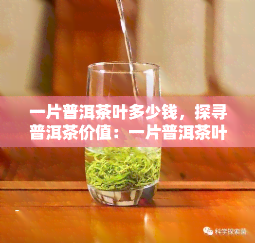 一片普洱茶叶多少钱，探寻普洱茶价值：一片普洱茶叶的价格解析