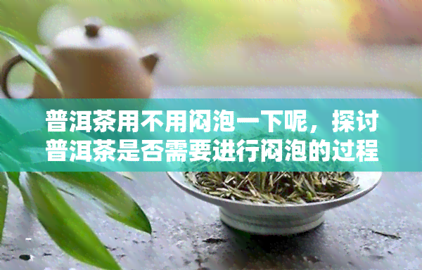 普洱茶用不用闷泡一下呢，探讨普洱茶是否需要进行闷泡的过程？