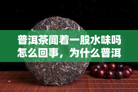 普洱茶闻着一股水味吗怎么回事，为什么普洱茶会有水味？是什么原因导致的？