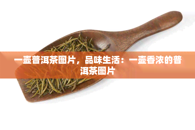 一壶普洱茶图片，品味生活：一壶香浓的普洱茶图片