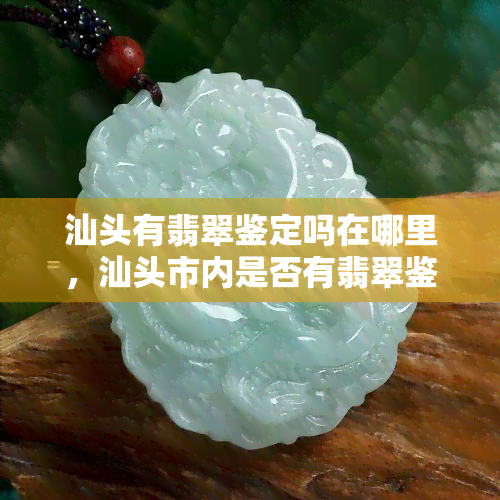 汕头有翡翠鉴定吗在哪里，汕头市内是否有翡翠鉴定？位置信息大揭秘！