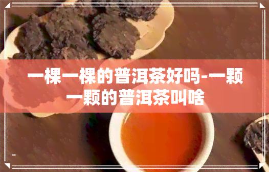 一棵一棵的普洱茶好吗-一颗一颗的普洱茶叫啥