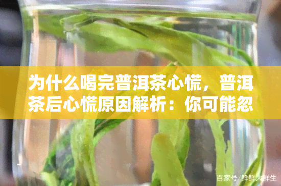 为什么喝完普洱茶心慌，普洱茶后心慌原因解析：你可能忽视的细节