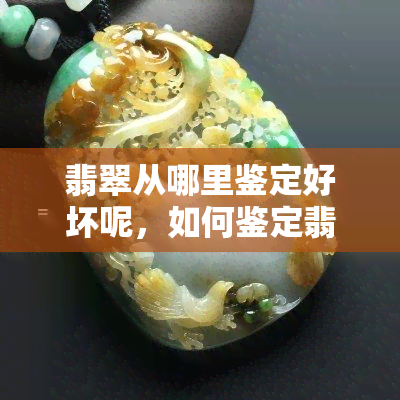 翡翠从哪里鉴定好坏呢，如何鉴定翡翠的好坏？