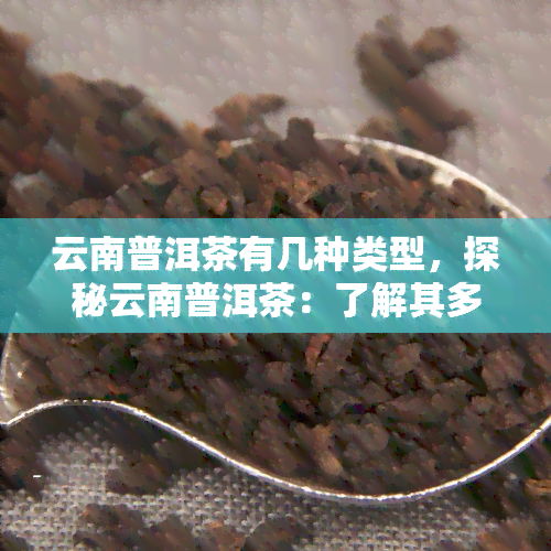 云南普洱茶有几种类型，探秘云南普洱茶：了解其多样化的种类和特点