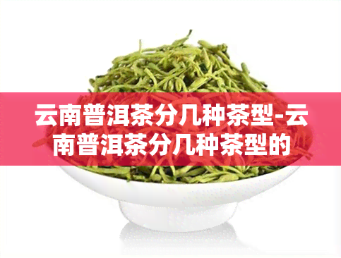 云南普洱茶分几种茶型-云南普洱茶分几种茶型的