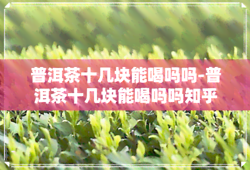 普洱茶十几块能喝吗吗-普洱茶十几块能喝吗吗知乎