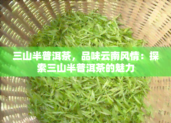 三山半普洱茶，品味云南风情：探索三山半普洱茶的魅力