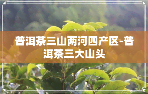 普洱茶三山两河四产区-普洱茶三大山头