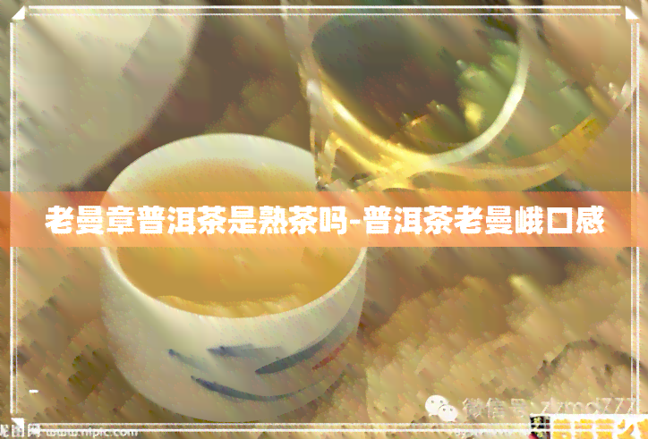 老曼章普洱茶是熟茶吗-普洱茶老曼峨口感