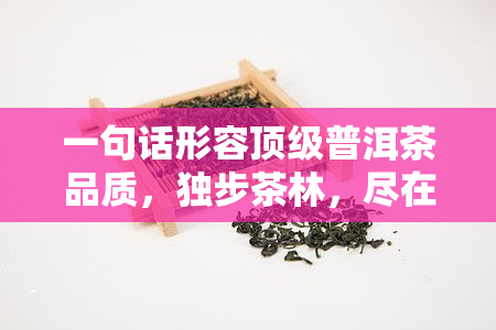 一句话形容顶级普洱茶品质，独步茶林，尽在一口：顶级普洱茶的品质描述