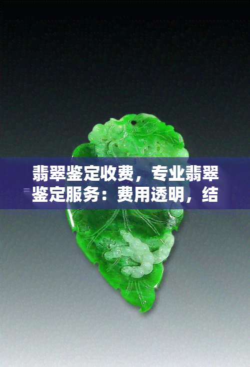 翡翠鉴定收费，专业翡翠鉴定服务：费用透明，结果准确