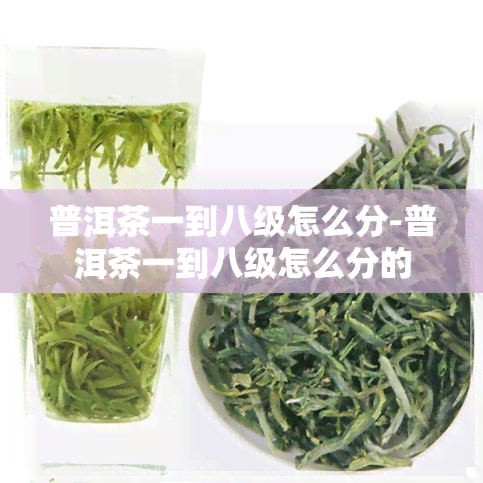 普洱茶一到八级怎么分-普洱茶一到八级怎么分的