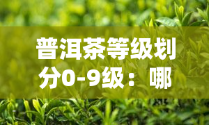 普洱茶等级划分0-9级：哪个更好？价格及图片全解