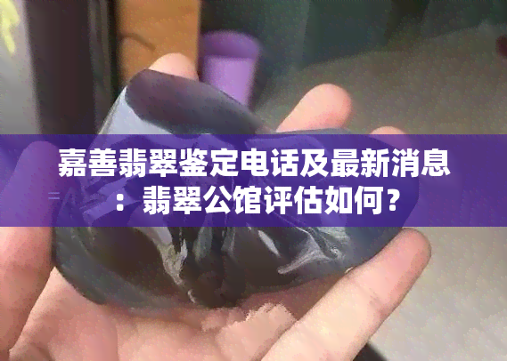 嘉善翡翠鉴定电话及最新消息：翡翠公馆评估如何？