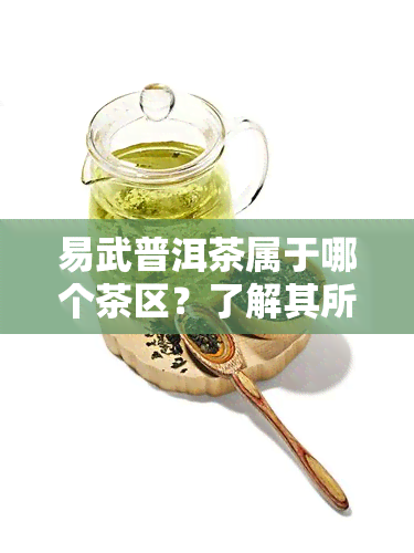 易武普洱茶属于哪个茶区？了解其所属产区、特点口感及价格