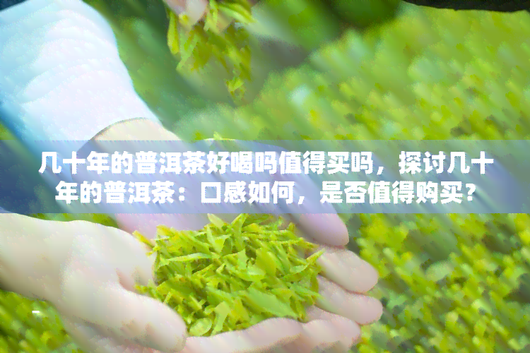 几十年的普洱茶好喝吗值得买吗，探讨几十年的普洱茶：口感如何，是否值得购买？