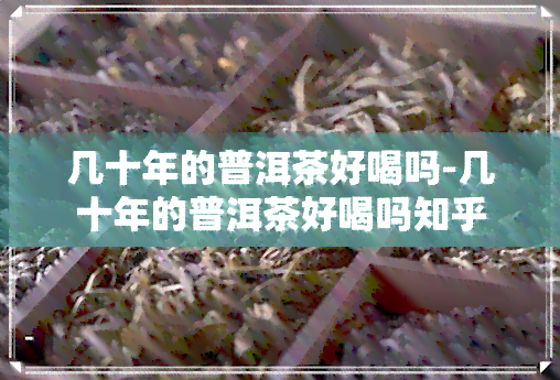 几十年的普洱茶好喝吗-几十年的普洱茶好喝吗知乎