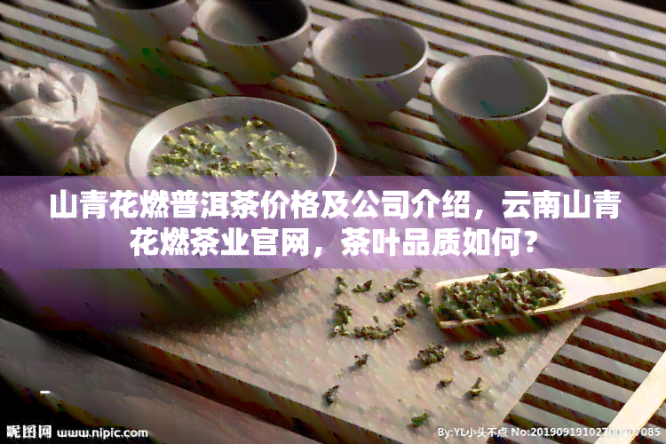 山青花燃普洱茶价格及公司介绍，云南山青花燃茶业官网，茶叶品质如何？