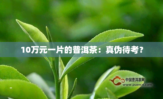 10万元一片的普洱茶：真伪待考？