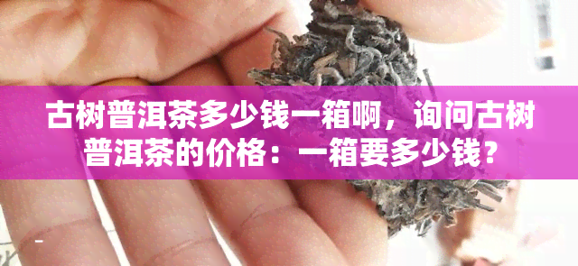 古树普洱茶多少钱一箱啊，询问古树普洱茶的价格：一箱要多少钱？