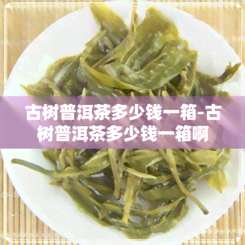 古树普洱茶多少钱一箱-古树普洱茶多少钱一箱啊