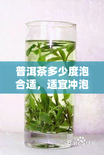 普洱茶多少度泡合适，适宜冲泡度：普洱茶的泡法