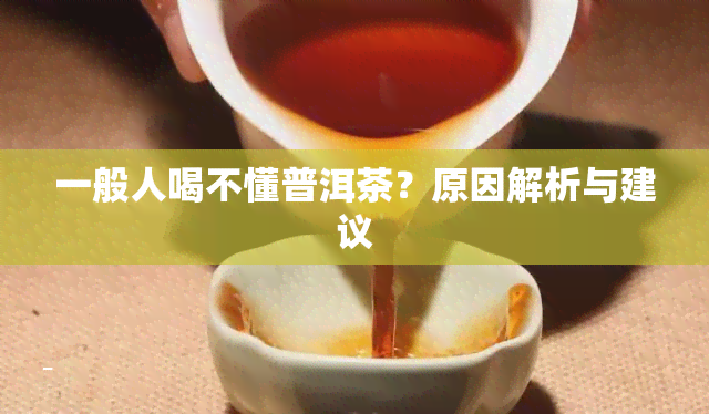 一般人喝不懂普洱茶？原因解析与建议