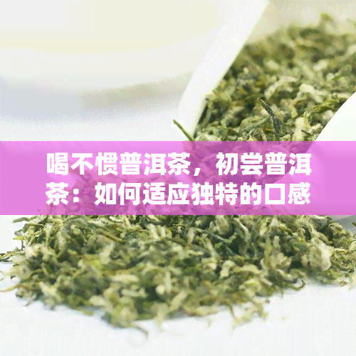 喝不惯普洱茶，初尝普洱茶：如何适应独特的口感？