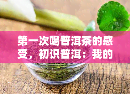 之一次喝普洱茶的感受，初识普洱：我的之一杯茶体验