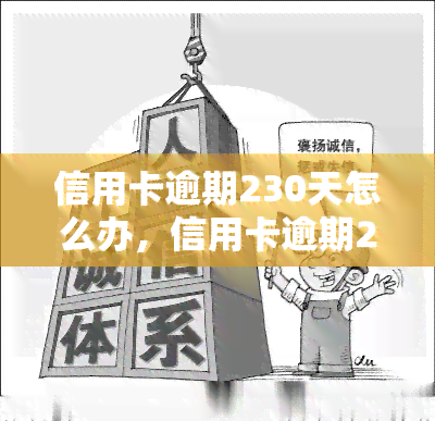 信用卡逾期230天怎么办，信用卡逾期230天，如何解决？