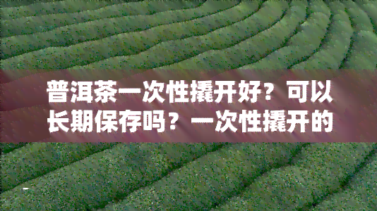 普洱茶一次性撬开好？可以长期保存吗？一次性撬开的注意事！