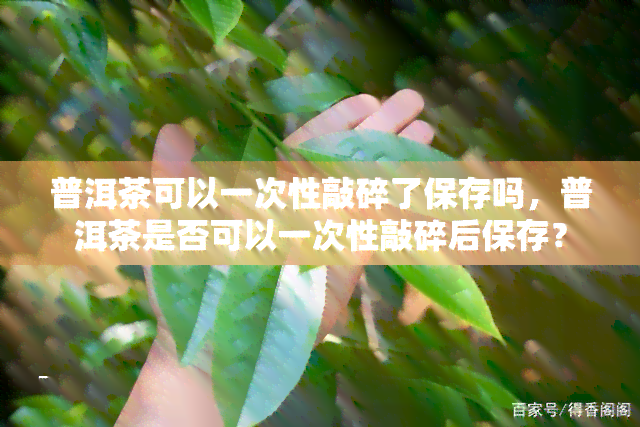 普洱茶可以一次性敲碎了保存吗，普洱茶是否可以一次性敲碎后保存？