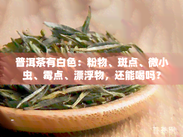 普洱茶有白色：粉物、斑点、微小虫、霉点、漂浮物，还能喝吗？